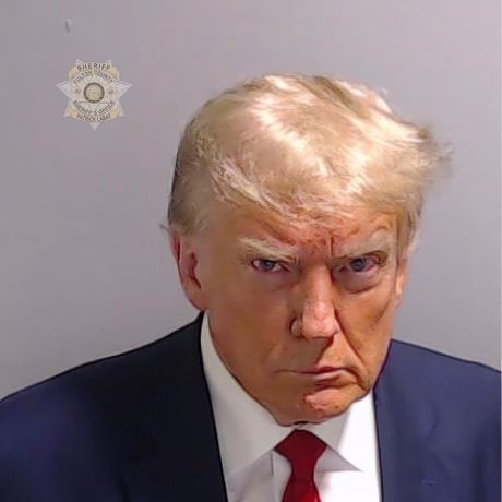 Zatvorska fotografija, mugshot, Donald Tramp Zatvorska fotografija, mugshot, Donald Tramp