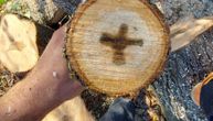 Dragoljub iz Goričana presekao drvo i ukazao mu se krst: Ovakav Božiji znak ne pamte ni najstariji meštani