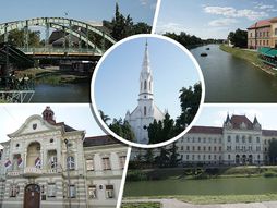 38. Dani Piva, Zrenjanin