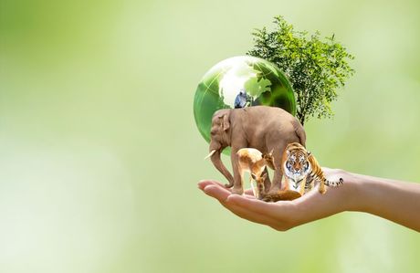Svetski dan borbe protiv razlike među vrstama