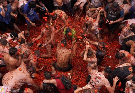 Festival paradajza