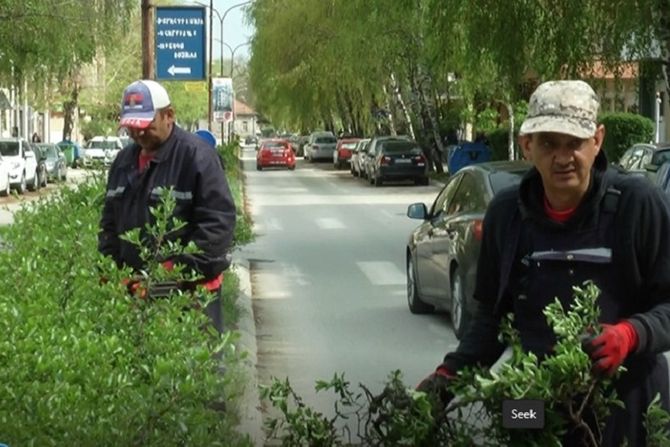 Radnici JKP "Gradsko zelenilo"