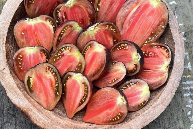 paradajz, neobičan paradajz, neobičan