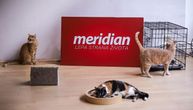 BUDIMO HUMANI: Kompanija Meridian i tokom letnjih vrućina vodi brigu o ugroženim životinjama