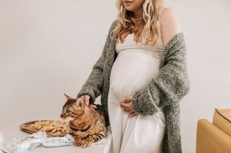 Mačka i trudnoća vlasnice