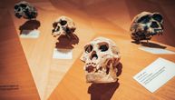 Bili smo pred istrebljenjem pre oko 800.000 godina: Celokupna ljudska populacija imala je oko 1.300 jedinki