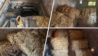 Velika akcija policije u Pančevu: U Kovinu u magacinu našli 1.248 kilograma sušenog duvana