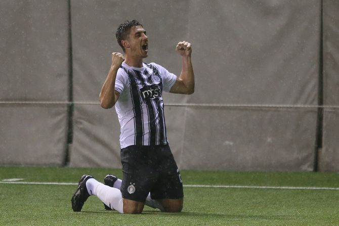 Nemanja Nikolić, FK Partizan