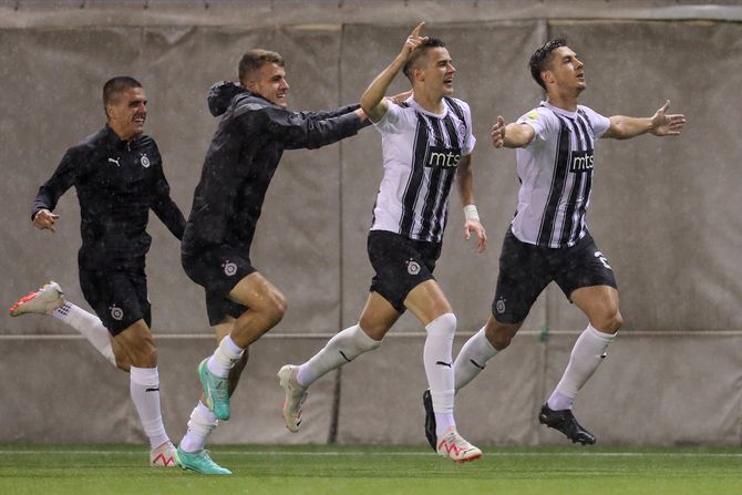 Nemanja Nikolić, FK Partizan