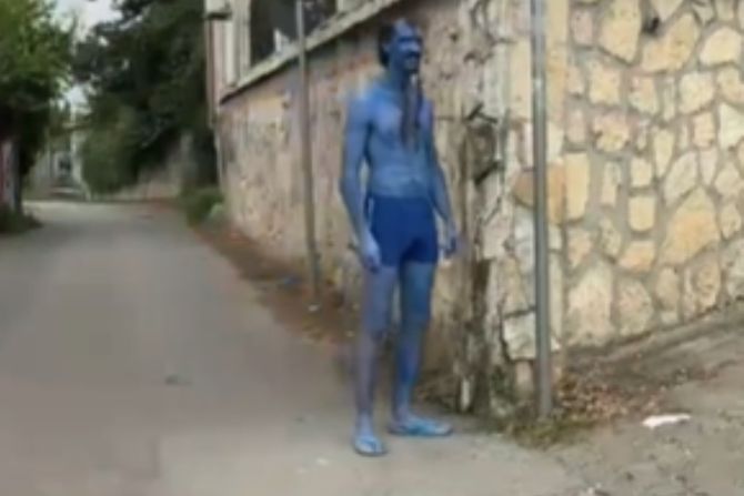 Avatar, Sremska Kamenica Avatar, Sremska Kamenica