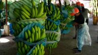 Ljudi u Ekvadoru sve više umiru zbog banana: Evo kakve veze s tim imaju karteli