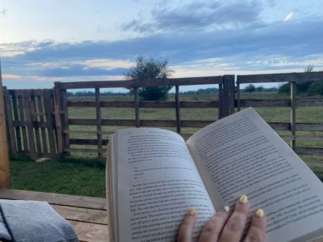 Zasavica, glamping Zasavica, glamping