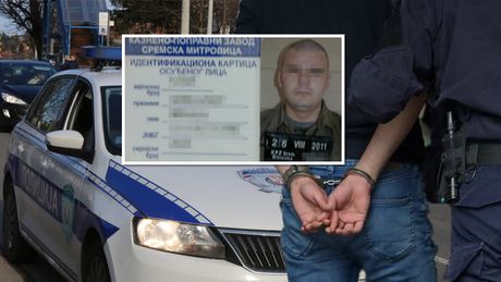 Hapšenje lisice policija, Nemanja Gavrilović