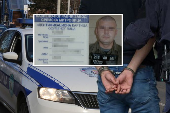 Hapšenje lisice policija, Nemanja Gavrilović