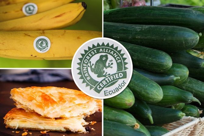 Krastavac, banane, burek,  rainforest alliance