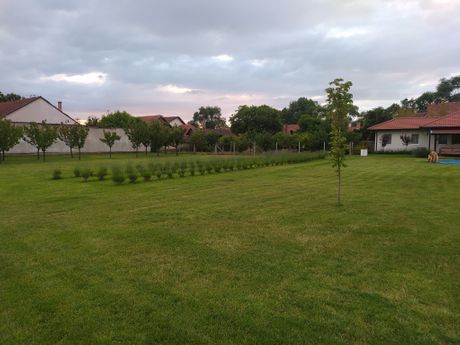 Imanje Senta, kuća