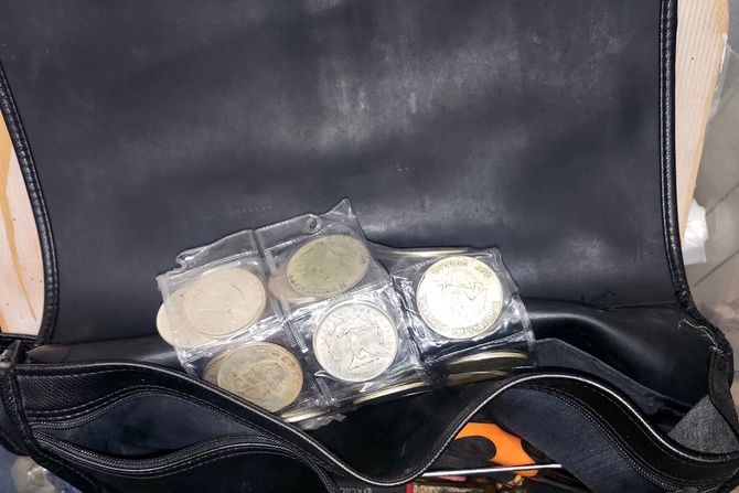 Zaplena na Horgošu Zaplena na Horgošu