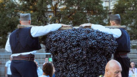 Smederevska jesen 2023