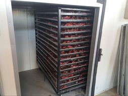 Sušara, sušene paprike, leskovac