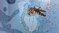 Tigrasti komarac koji prenosi denga virus, prisutan i u Srbiji: Grize tokom dana, može da izazove još 3 stanja