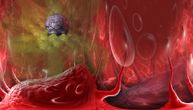 Kad loše ćelije postanu dobre: Ćelijski kanibalizam kao tretman za rak