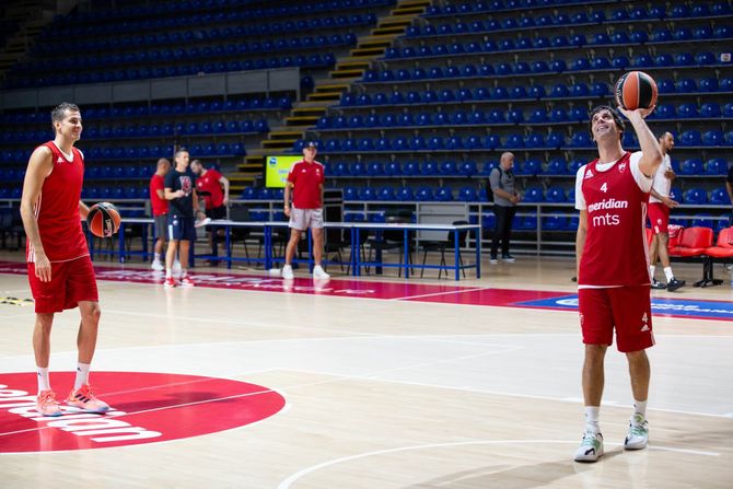 Nemanja Bjelica i Miloš Teodosić, KK Crvena zvezda