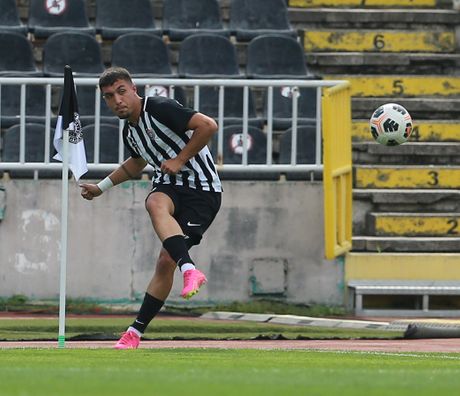 Milan Aleksić