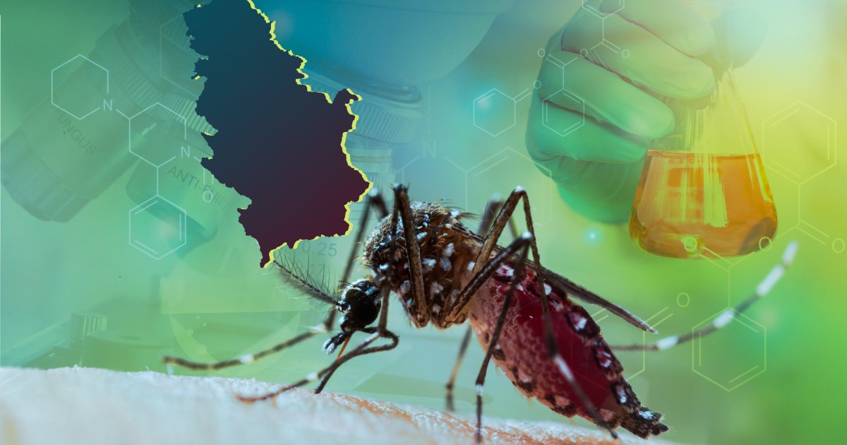 Sve o denga groznici koju prenosi tigrasti komarac, kog ima i u Srbiji