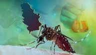 Sve o denga groznici koju prenosi tigrasti komarac, kog ima i u Srbiji: Prenose je ženke, 2 dela dana kritična