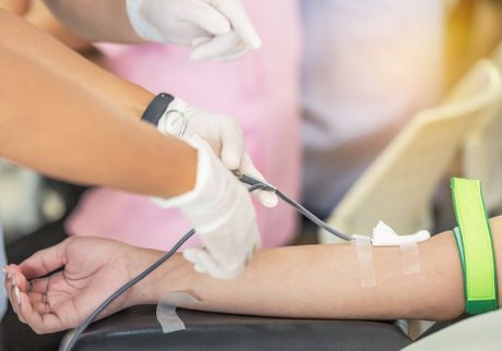 Blood collection, blood analysis, blood transfusion, free blood donation Blood collection, blood analysis, blood transfusion, free blood donation