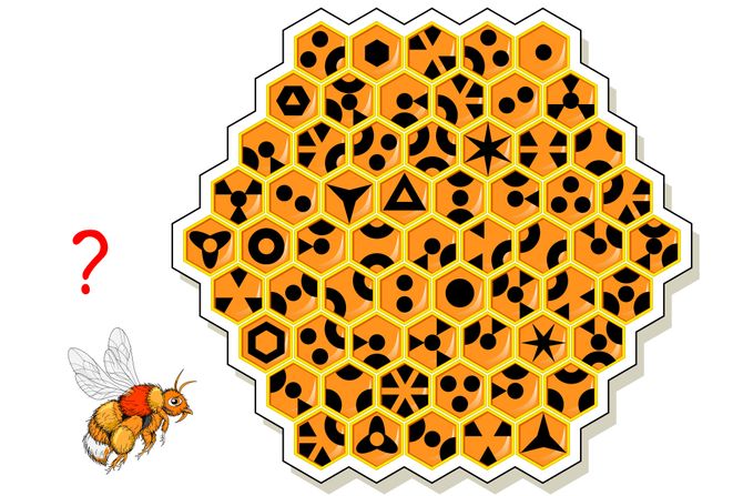 Mozgalica pčela Mozgalica pčela