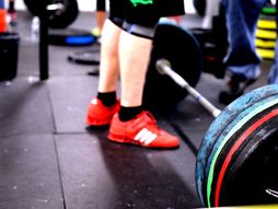 dizanje tegova, vežbanje, fitnes, teretana