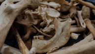 Mrtve nisu sahranjivali, već su ih jeli i sisali im koštanu srž: Neki drevni Evropljani bili su ljudožderi
