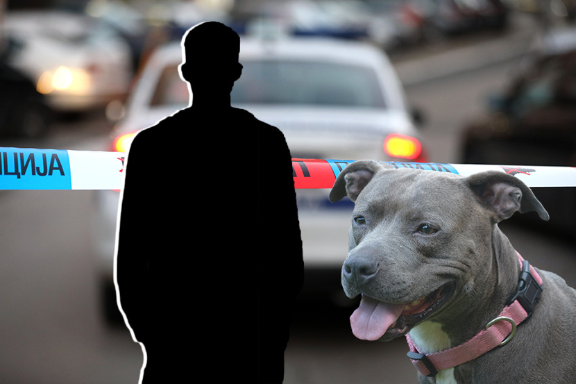 CHAOS IN NIŠ: Staffordshire Terrier Attacked a Woman and a Young Man, Both Rushed to the Hospital!