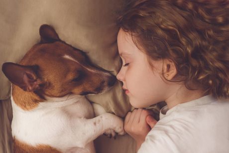Dete devojčica i pas kućni ljubimac ljubav
