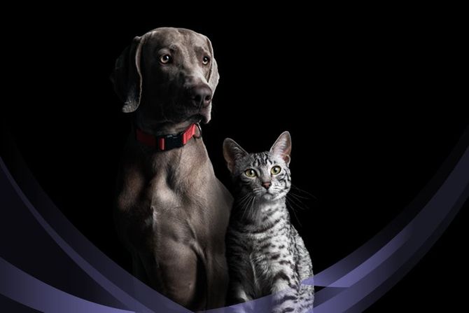 Purina Pro Plan