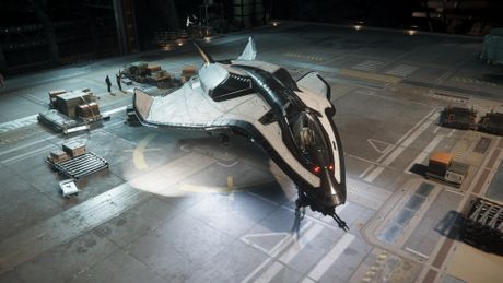 Star Citizen
