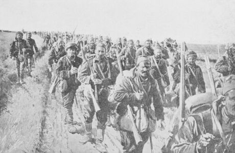 Srpska vojska, Prvi svetski rat, Veliki rat