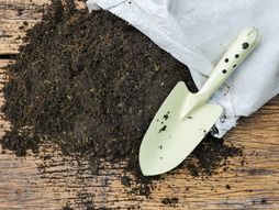 zemlja, cveće, džak, ašov, baštovanstvo