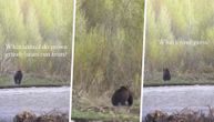 Mislili smo da je grizli neustrašiv, ali kada je njega ugledao, uhvatio je tutanj!