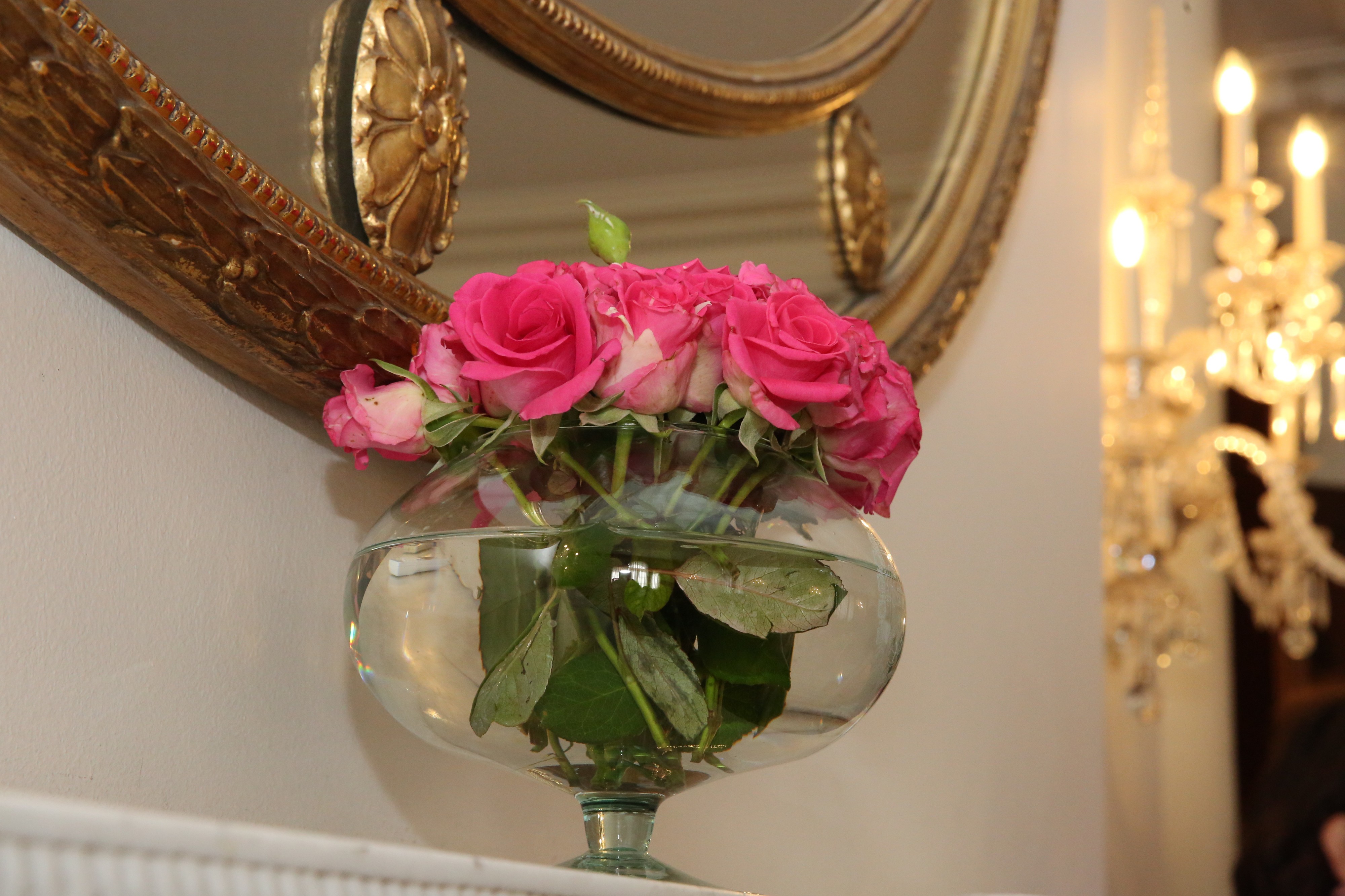 Ova država je prva omogućila prvo glasa ženama, a evo kada je 8. mart stigao u Srbiju: Ovako je sve nastalo