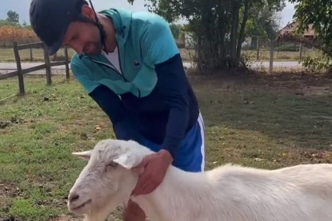 Novak Đoković Novak Đoković