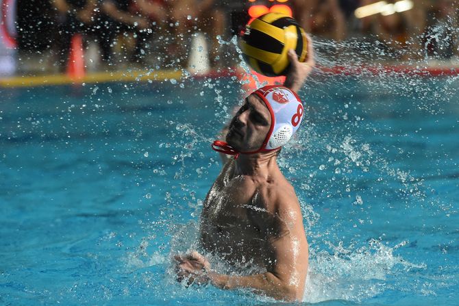 VK Crvena zvezda VK Crvena zvezda