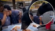Medved im pokvario piknik: Odmah se bacio na hranu, a ljudi sedeli skamenjeni od straha