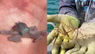 Ribar pokazao neverovatna stvorenja iz morskih dubina: Prizori kao iz horor filmova
