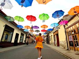 Tokaj, Mađarska, vino, vinogradi