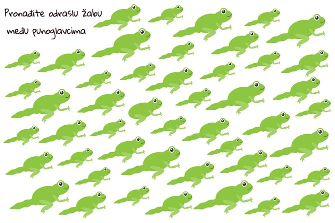 Skrivalica žaba Skrivalica žaba