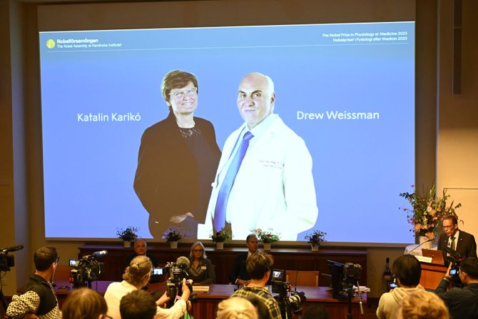 Nobelova nagrada za medicinu  Katalin Karikó Drew Weissman