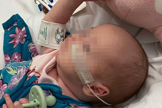 Jenna Olive Jenna Olive