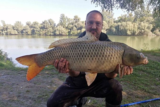 Nikola Božić sa šaranom od 12kg